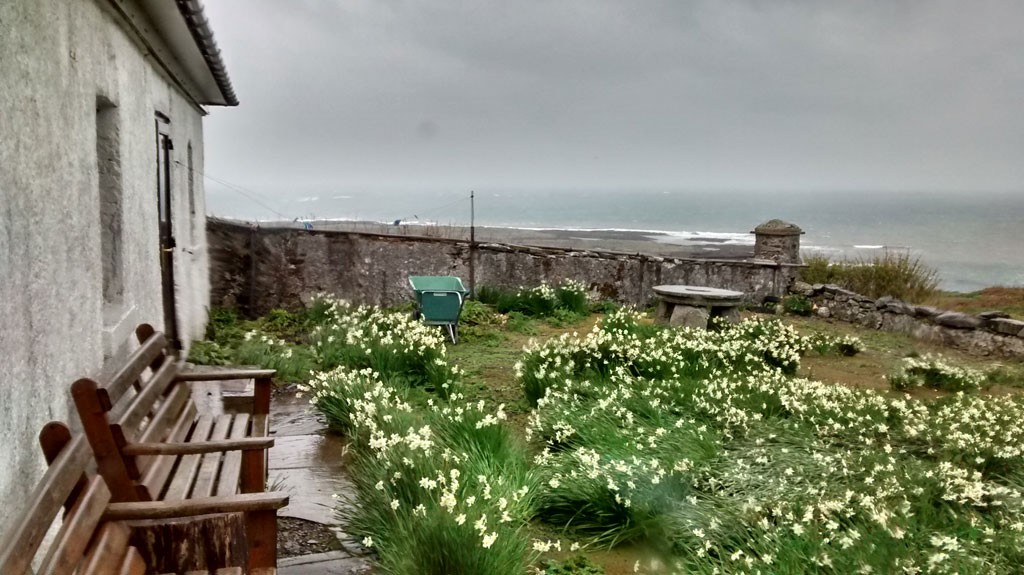 stormy weather