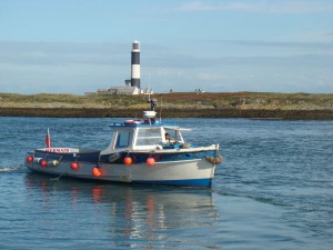 Boat arriving at the east jetty on Copeland BIrd Observatory