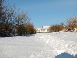 The path to the buildings on Copeland Bird Observatory