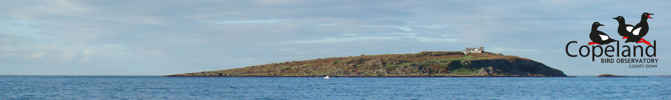 Copeland Bird Observatory