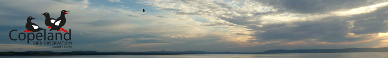 Copeland Bird Observatory