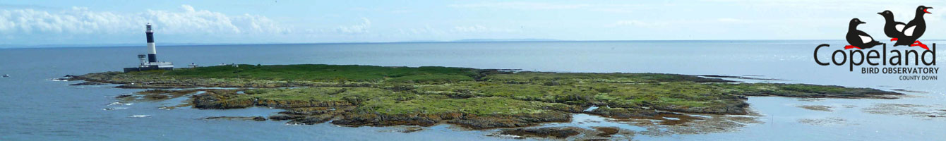 Copeland Bird Observatory