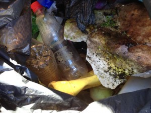 Rubbish from coastline clean up 