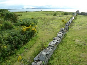 View over the garden wall on Copeland Bird Observatory. Photographer Ian McKee. 