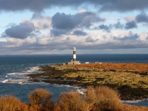 View of Mew Island from Copeland Bird Observatory. Photographer Ian McKee.