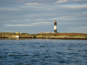 View of Mew Island from east jetty on Copeland Bird Observatory