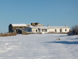 The buildings on Copeland Bird Observatory