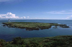 view of Mew Island from Copeland Bird Observatory